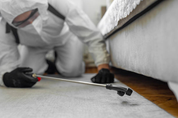 Professional Bed Bug Control technician working in Ingalls, IN